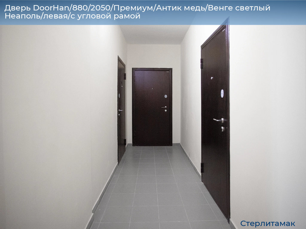 Дверь DoorHan/880/2050/Премиум/Антик медь/Венге светлый Неаполь/левая/с угловой рамой, sterlitamak.doorhan.ru