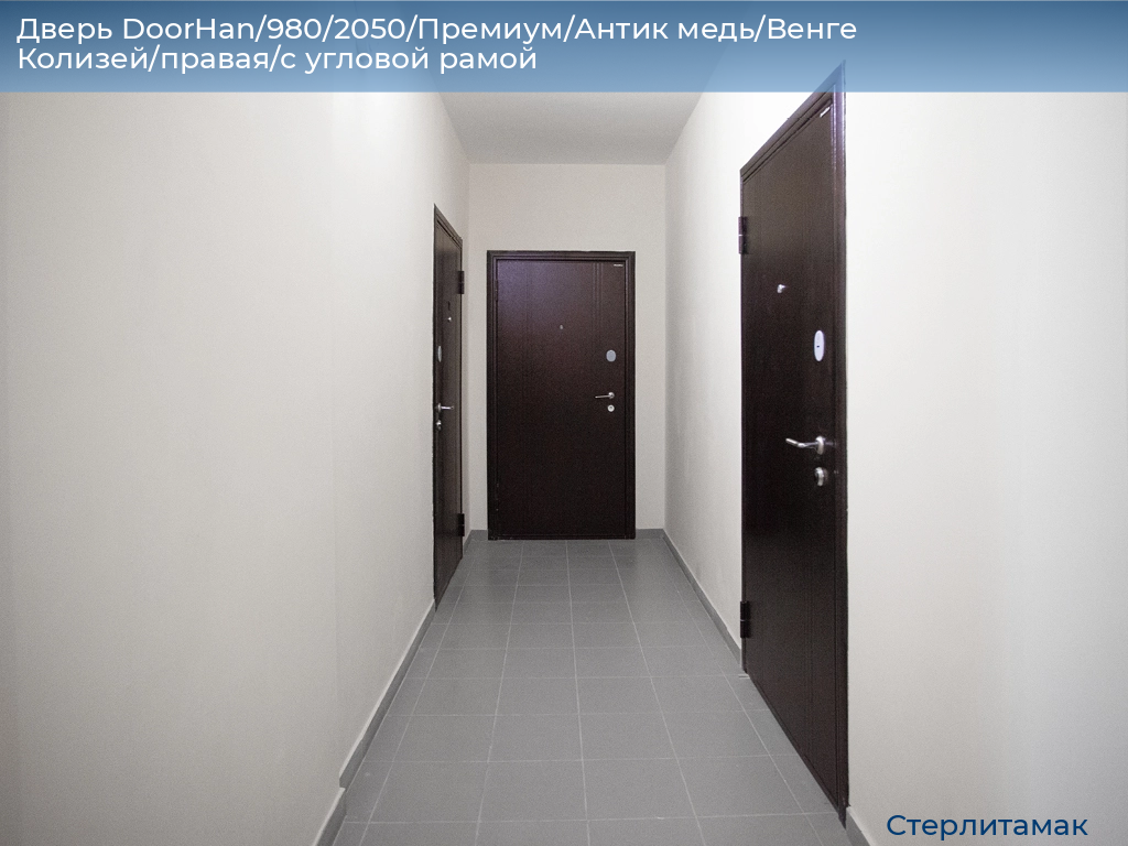 Дверь DoorHan/980/2050/Премиум/Антик медь/Венге Колизей/правая/с угловой рамой, sterlitamak.doorhan.ru