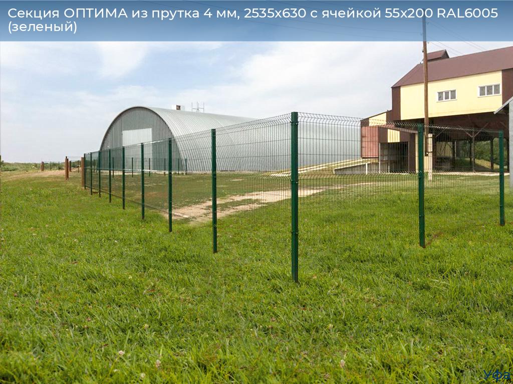 Секция ОПТИМА из прутка 4 мм, 2535x630 с ячейкой 55х200 RAL6005 (зеленый), www.ufa.doorhan.ru