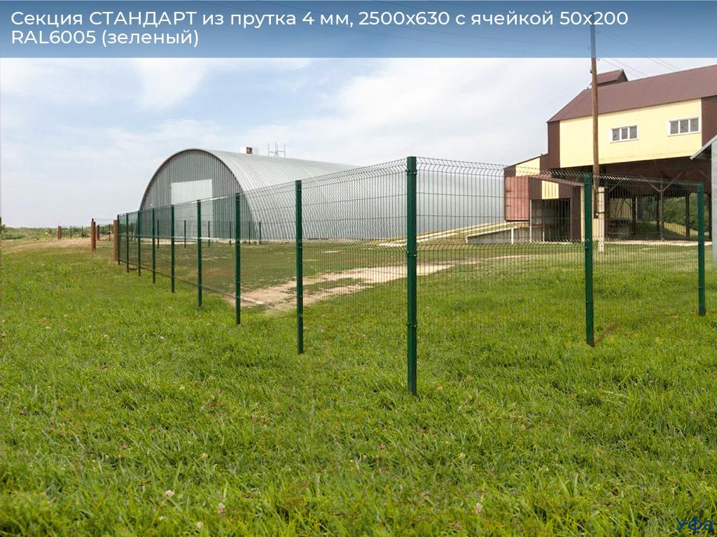 Секция СТАНДАРТ из прутка 4 мм, 2500x630 с ячейкой 50х200 RAL6005 (зеленый), www.ufa.doorhan.ru