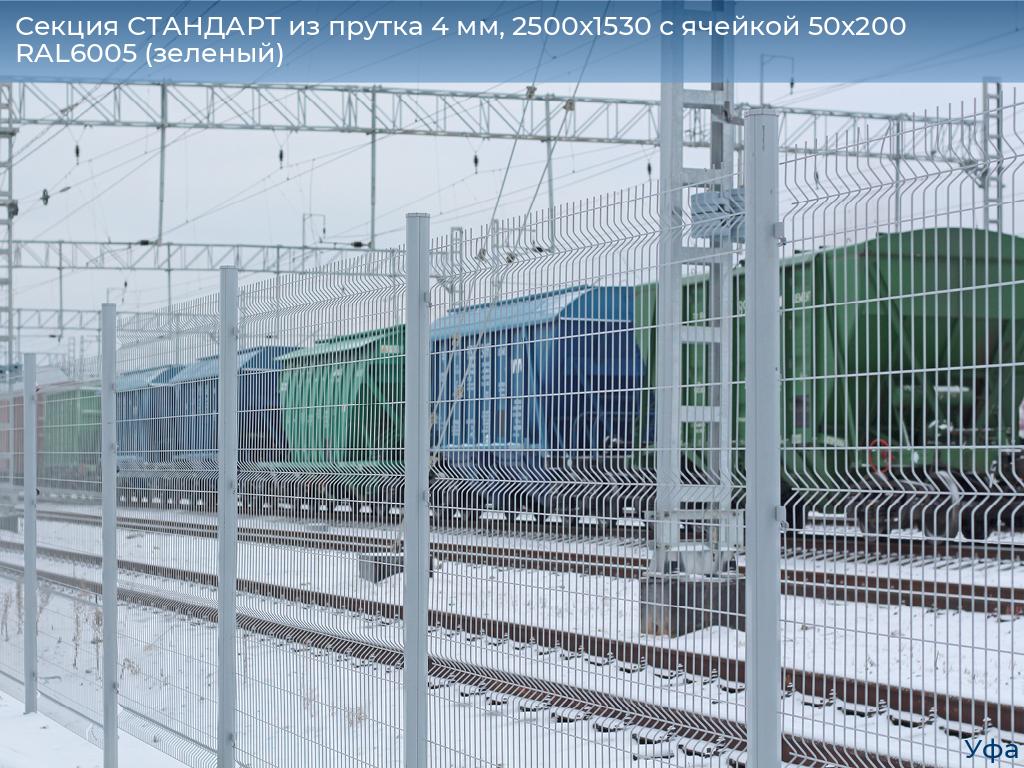 Секция СТАНДАРТ из прутка 4 мм, 2500x1530 с ячейкой 50х200 RAL6005 (зеленый), www.ufa.doorhan.ru