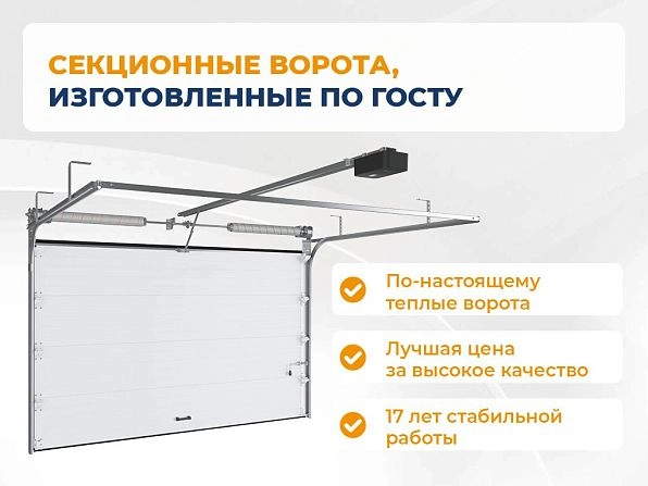 Секционные ворота 2500х2300 мм коричнево-красные DoorHan rsd02, sterlitamak.doorhan.ru